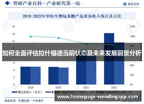 如何全面评估拉什福德当前状态及未来发展前景分析