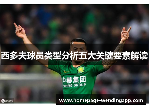 西多夫球员类型分析五大关键要素解读