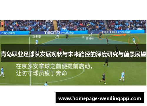 青岛职业足球队发展现状与未来路径的深度研究与前景展望