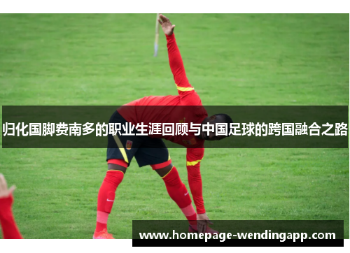 归化国脚费南多的职业生涯回顾与中国足球的跨国融合之路