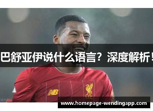 巴舒亚伊说什么语言？深度解析！