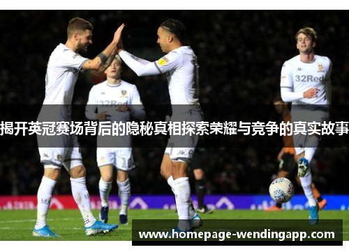 揭开英冠赛场背后的隐秘真相探索荣耀与竞争的真实故事