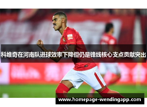 科维奇在河南队进球效率下降但仍是锋线核心支点贡献突出